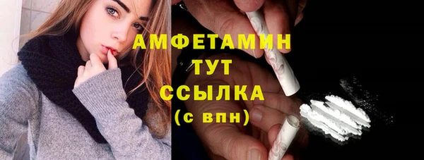 дмт Няндома