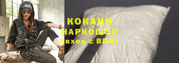 дмт Няндома