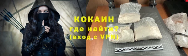 дмт Няндома