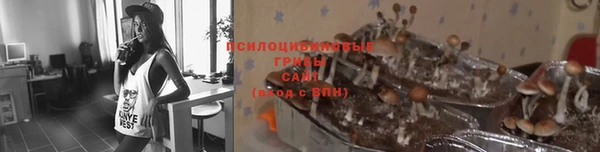 марки nbome Осинники