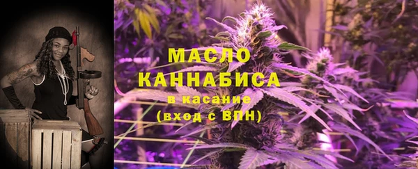 дмт Няндома