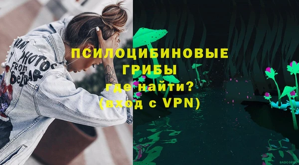 дмт Няндома