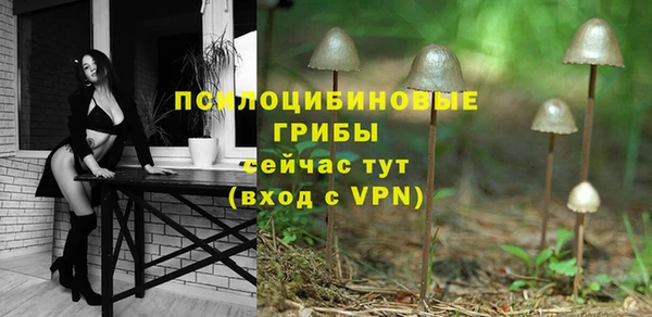 mdpv Нягань