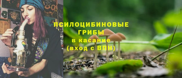 шишки Билибино