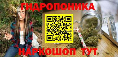 прущие грибы Ирбит