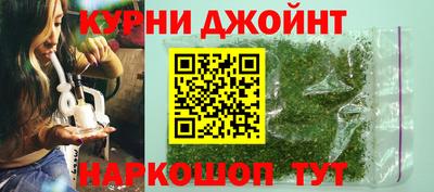 прущие грибы Ирбит