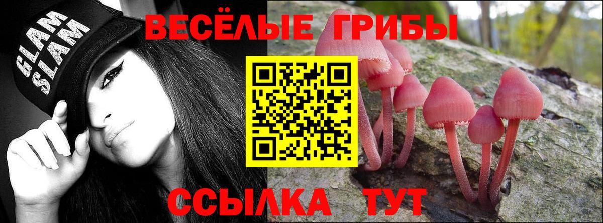 Псилоцибиновые грибы мухоморы Омск