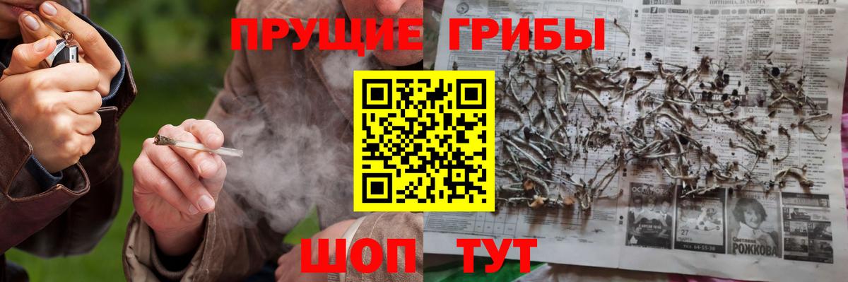 купить наркотики сайты  Омск  Галлюциногенные грибы мухоморы  Псилоцибиновые грибы прущие грибы 