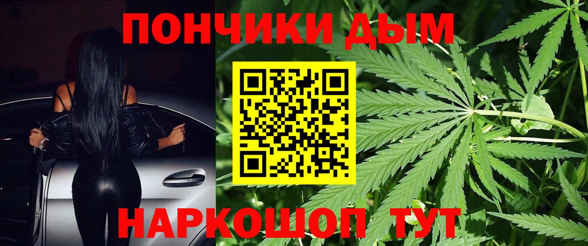 Омск  Конопля ГИДРОПОН  Канабис марихуана  Бошки марихуана тримм  Вход с VPN 